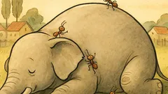 Banc: Furnicile găsesc un elefant adormit, îl ciupesc